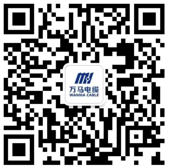 WeChat:136 3419 3197